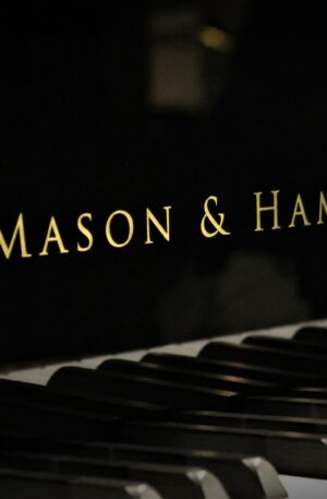 Mason & Hamlin Model BB VX Edition