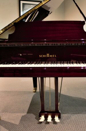 Schimmel C169