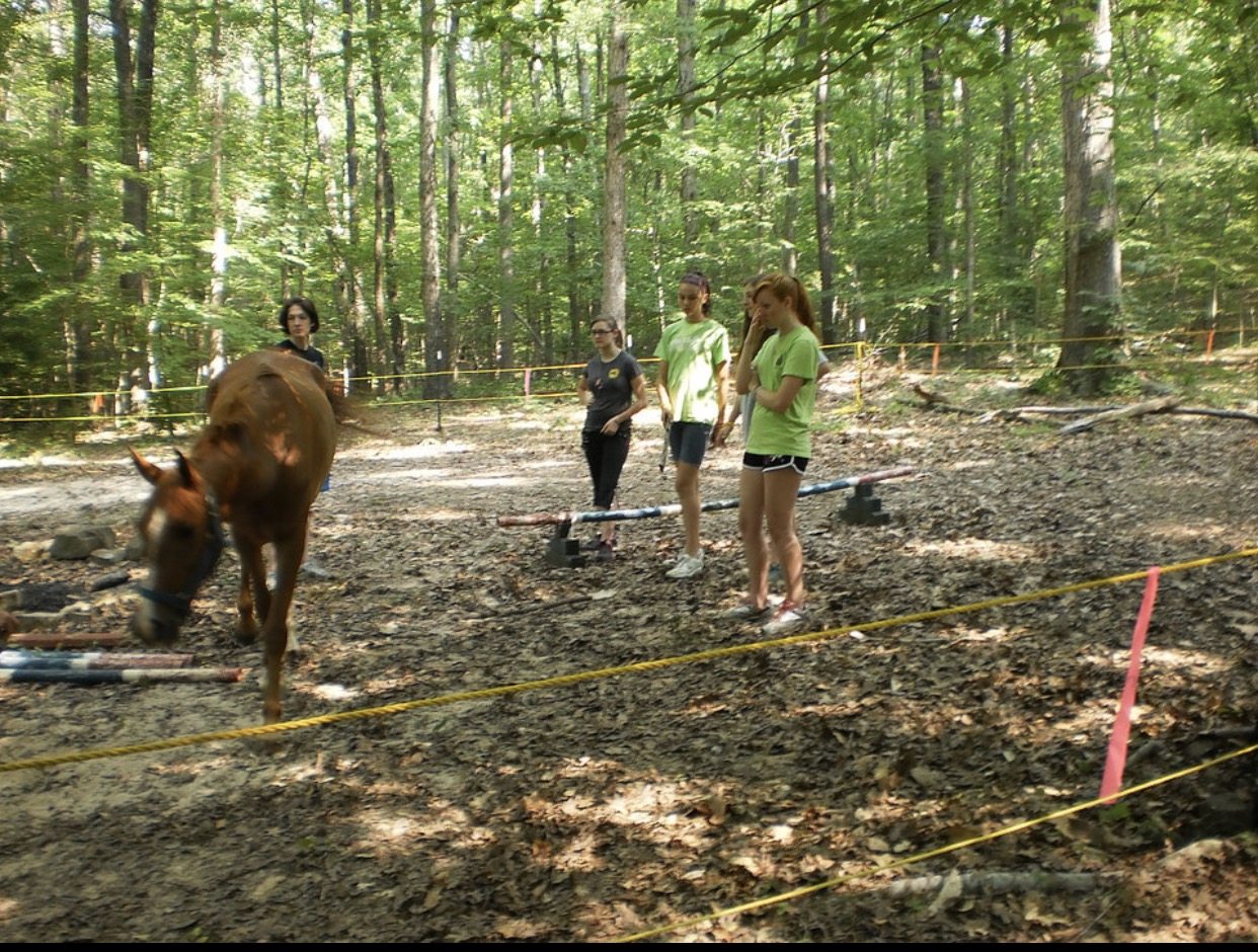 Mount Wisdom for Boys and Girls