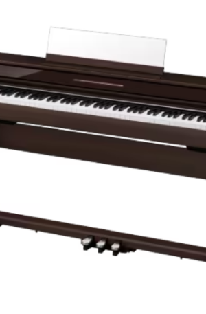Casio APS 450 Brown